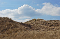 Dunes von AD DESIGN Photo + PhotoArt
