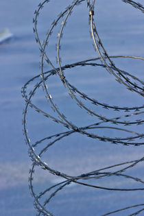 barbed wire von Karsten Müller