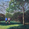 Southampton-people-in-park