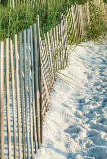 beach fence by digidreamgrafix