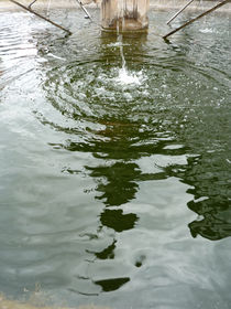 Wasserspiegelungen in einem Brunnen (2) von Eva-Maria Di Bella