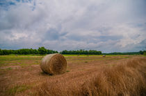 country farm field by digidreamgrafix
