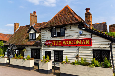 The-woodman