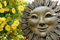 Smiling Sunflower Face von John Mitchell