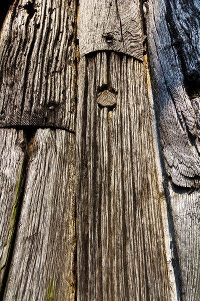 Ancient-wood