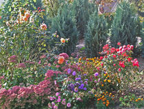 Romantischer bunter Blumengarten - Flowers in the Garden by Eva-Maria Di Bella