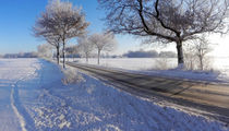 Das Winterland schafft Landstraße | Winter's land creates rural road | El país de invierno crea carretera von artistdesign