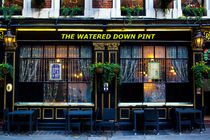 The Watered Down Pint by David Pyatt