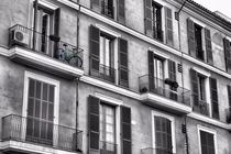 Das Fahrrad auf dem Balkon by Bastian Altenburg