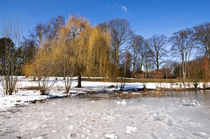 Park im Winter von fotolos