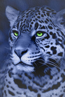 Jaguar by Melissa King