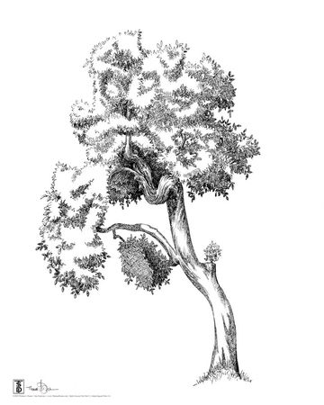 75x100-vertical-split-tree-part-2