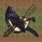 100x75-ziryab-singing-blackbird
