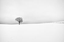 The Silence of Winter by Michael Bottari