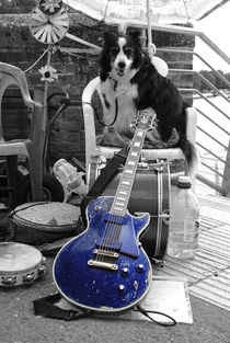 Guitar Dawg  by Rob Hawkins