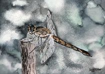 dragonfly art print von Derek McCrea