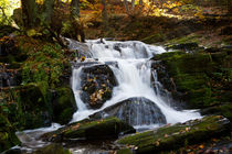 Wasserfall im Harz von Daniel Kühne