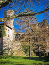 Burg Hanstein 1 by Uwe Karmrodt