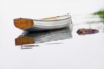 White Boat on a Misty Morning von Randall Nyhof