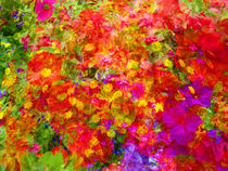 Flower blend by Robert Gipson