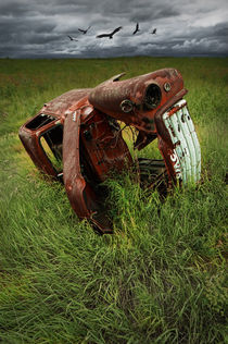 Rotting Steel Auto Carcass by Randall Nyhof