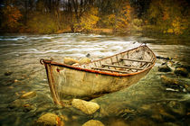 Canoe on the Thornapple River von Randall Nyhof