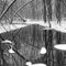 Ldsp-winter-stream-057bwvertical