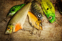Dad's Fishing Crankbaits by Randall Nyhof