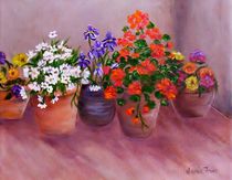 Flower Pots by Jamie Frier