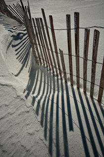 Beach Fence in Winter by Randall Nyhof
