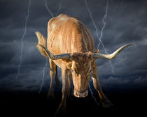 Bull Market by Randall Nyhof