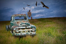 Vultures and the Abandoned Truck by Randall Nyhof
