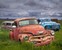 Vintage Bodies in a Junk Yard by Randall Nyhof