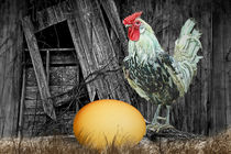 Which came First the Chicken or the Egg? von Randall Nyhof