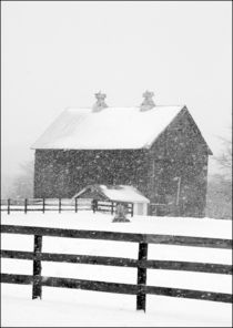 Barn in a snowstorm. by Randall Nyhof