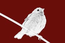 digital naive sparrow in brown - digital naiver spatz in braun von mateart