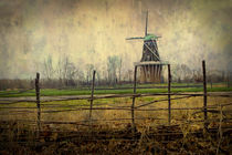 DeZwaan Windmill in Holland Michigan No.02325 von Randall Nyhof