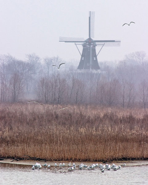 Ldsp-dezwaan-windmill