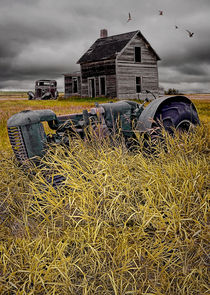 Decline of the Small Farm No 2 by Randall Nyhof