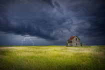 Thunderstorm on the Prairie von Randall Nyhof
