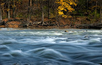 Autumn colors and water flowing on the Thornapple River von Randall Nyhof