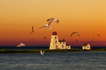 Cascumpec Lighthouse on Prince Edward Island No.110 by Randall Nyhof