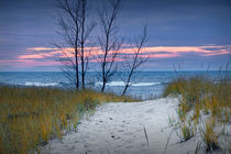 Sunset Photograph of Trees and Dune with Beach Grass at Holland Michigan No. 0241 von Randall Nyhof