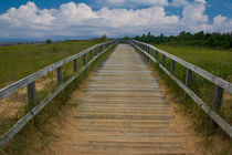 Boardwalk on the Beach by Randall Nyhof