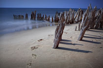 Footprints and Pilings on Kirk Beach by Randall Nyhof