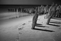 Footprints and Pilings on Kirk Beach in Black and White by Randall Nyhof