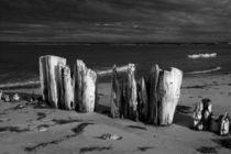 Shore Pilings on Prince Edward Island von Randall Nyhof