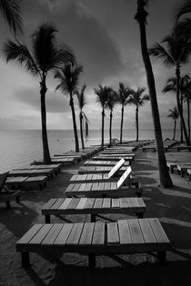 Sun Bathing Benches at a Resort on Key Islamorada by Randall Nyhof