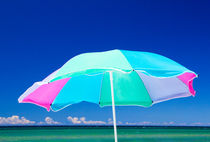 Beach Umbrella at the shore by Randall Nyhof