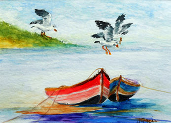 Birds-and-boats